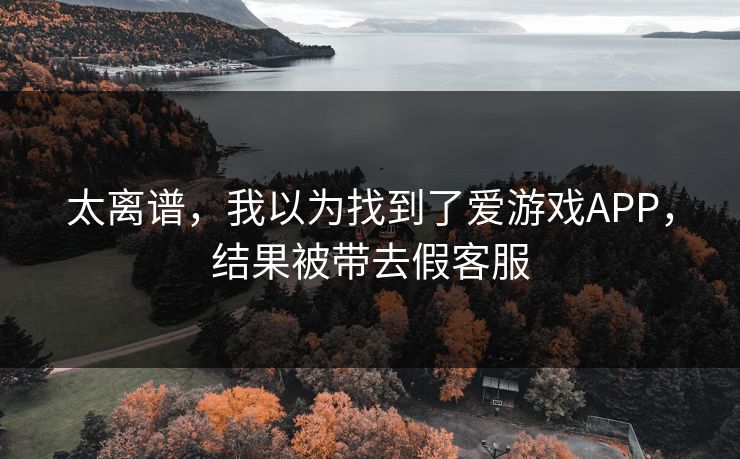 太离谱，我以为找到了爱游戏APP，结果被带去假客服